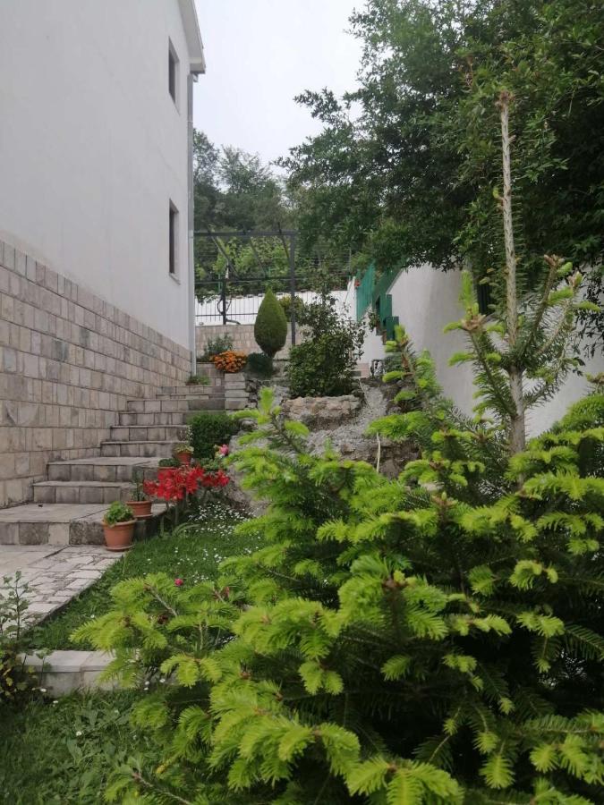 Uros Herceg Novi